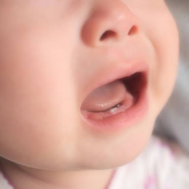 赤ちゃんの歯